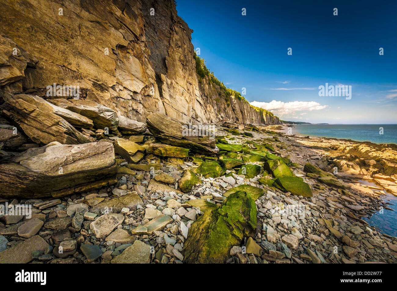 Erodierten Felsen und Strand befindet sich in Cape ' Wutanfall ' New Brunswick Kanada Stockfoto