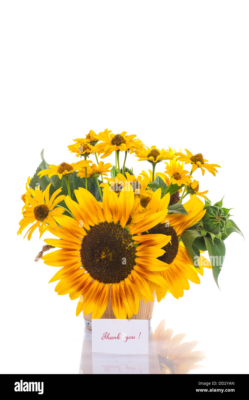 Strauß Sonnenblumen und Dankbarkeit auf weißem Hintergrund Stockfoto