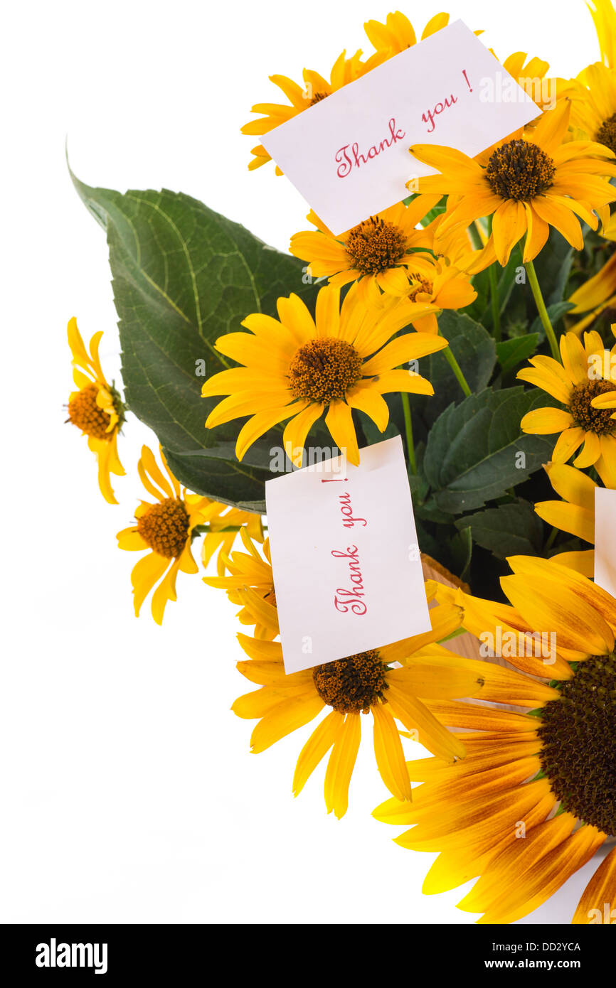 Strauß Sonnenblumen und Dankbarkeit auf weißem Hintergrund Stockfoto