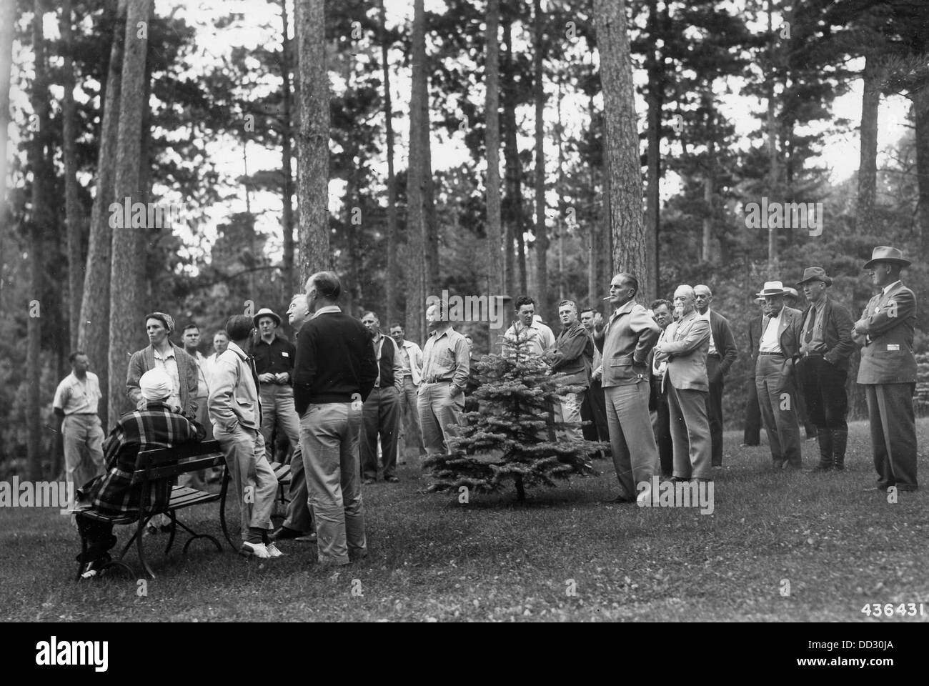 Bäume für morgen Ersatz-Gruppe bei Forellen See Kinderstube--2129640 Stockfoto