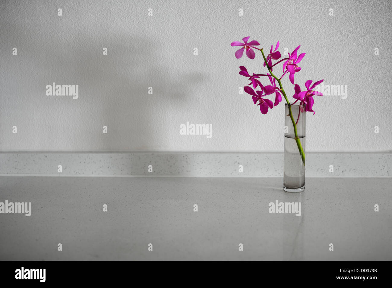 Orchidee blüht in einer einfachen Vase auf einem weißen Steintisch Stockfoto