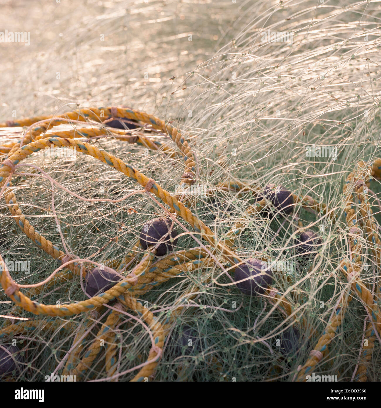 Ein Seil umschlungen im Fischernetz; Sayulita, Mexiko Stockfoto