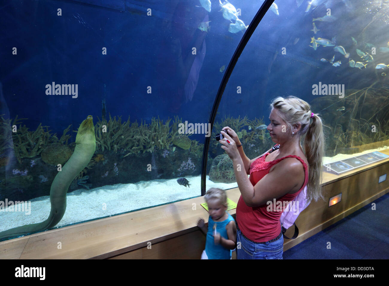 Besucher im Aquarium in L'Oceanografic, Valencia, Spanien Stockfoto