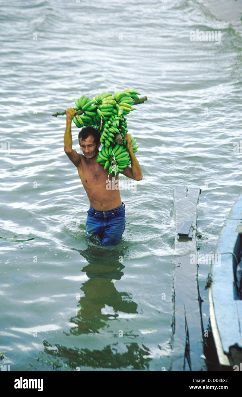 Toting Bananen am Hafen von Santarem, Brasilien Stockfoto