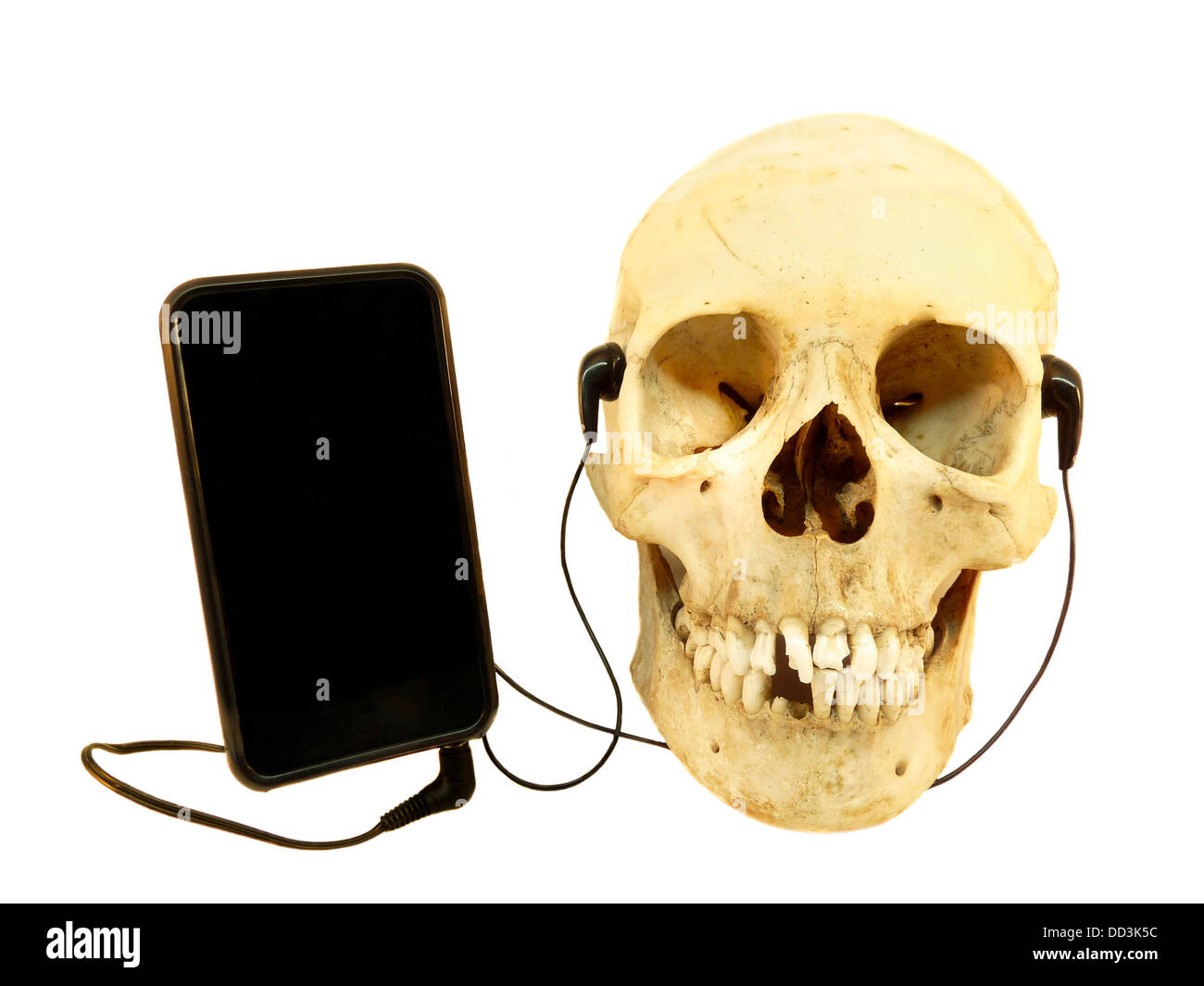 Menschlicher Schädel mit Kopfhörern Musik hören Stockfoto