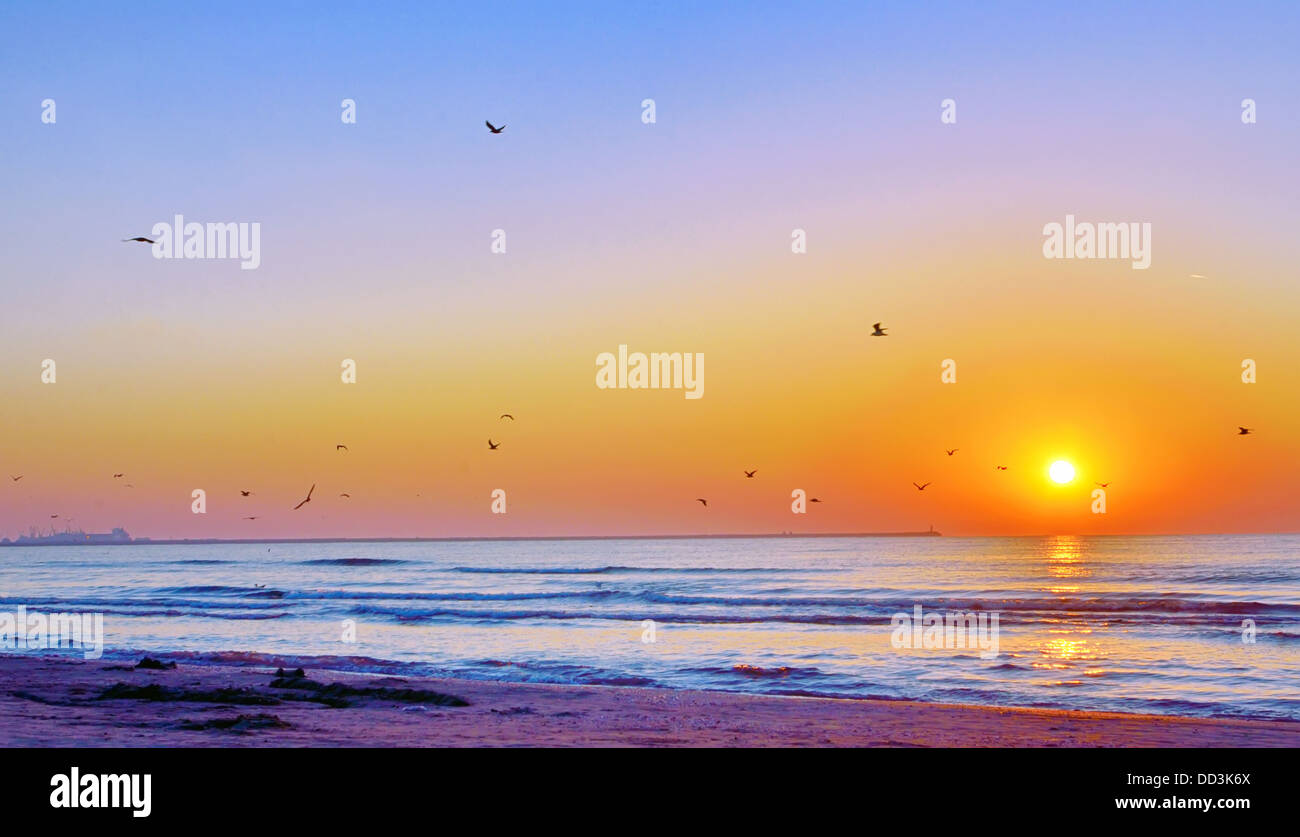 Wunderschönen Sonnenaufgang am schwarzen Meeresstrand im Sommer Stockfoto