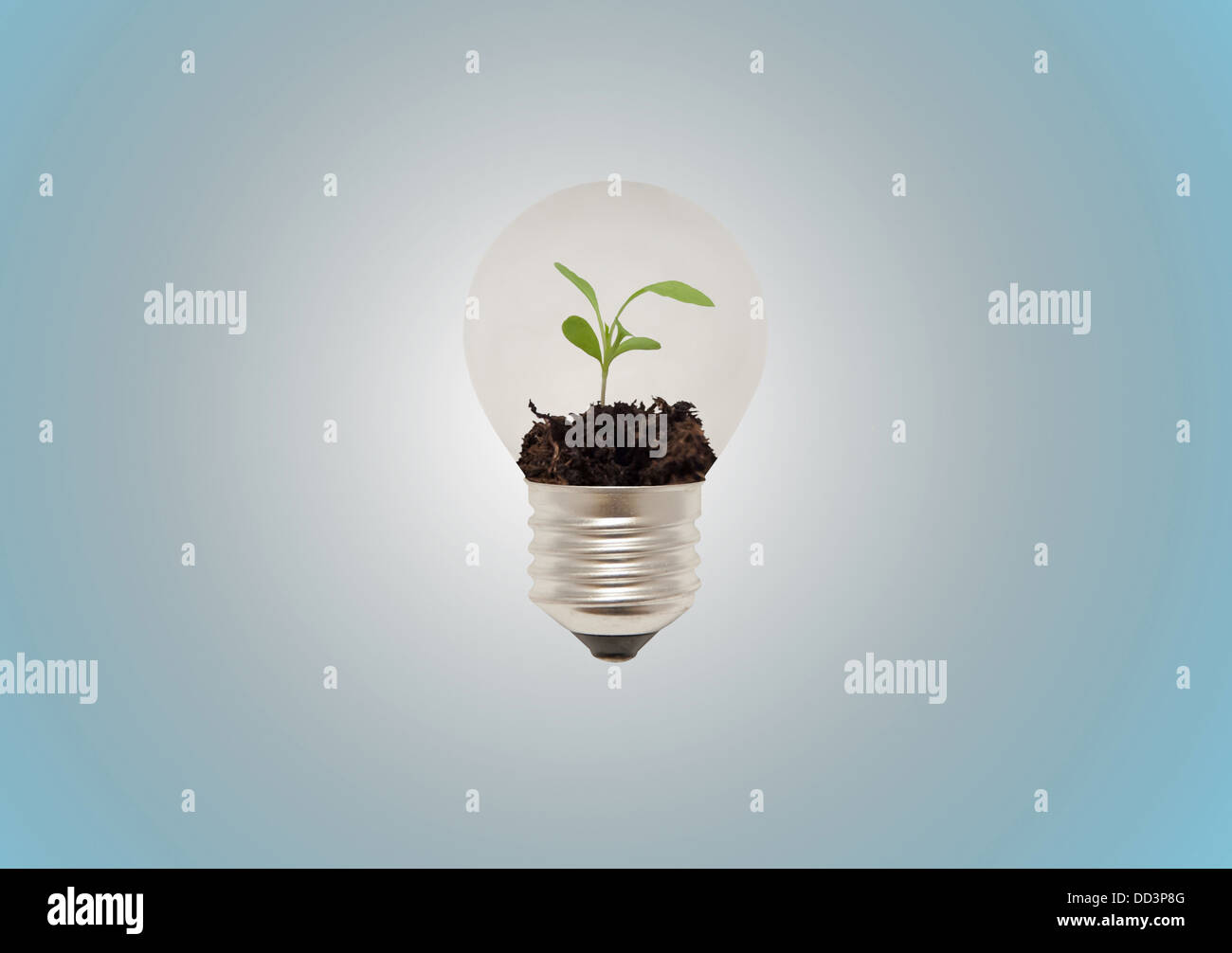 Eco-Glühbirne mit Pflanze im Inneren Stockfoto