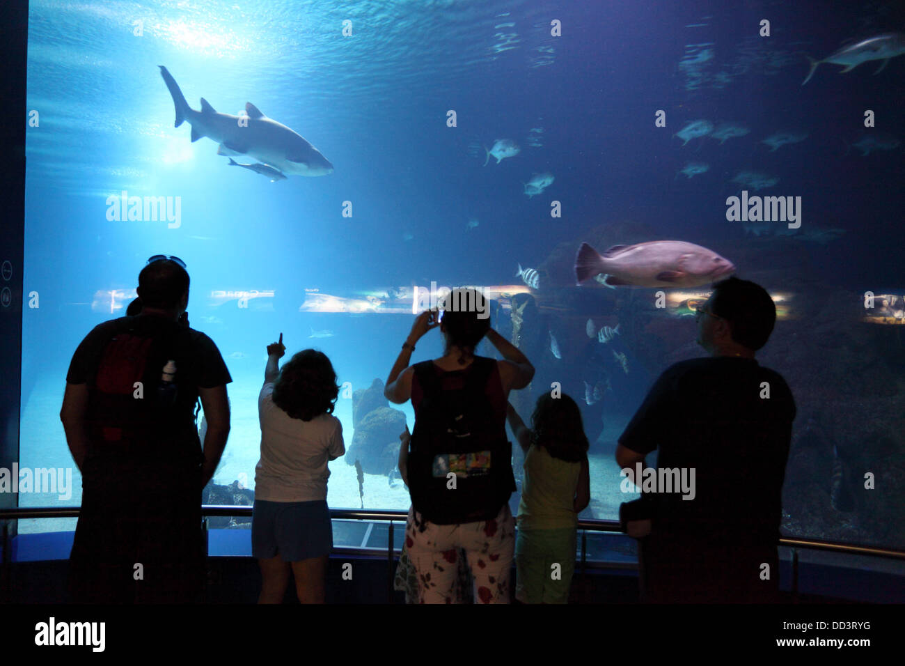 Besucher im Aquarium in L'Oceanografic, Valencia, Spanien Stockfoto