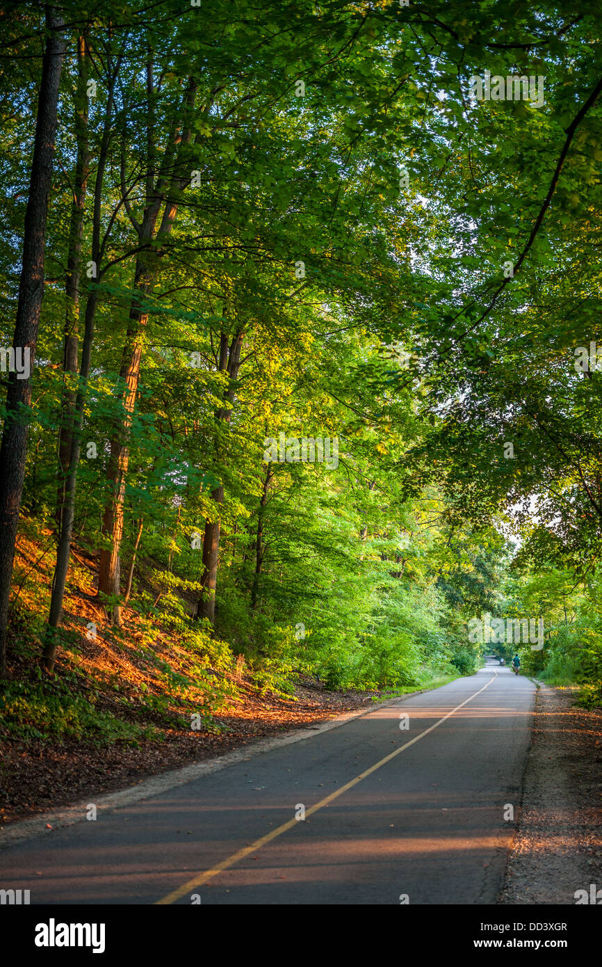 Eine Farbfotografie zeigt eine ländliche Bäumen gesäumten Straße in späten Tag Sonne. Stockfoto
