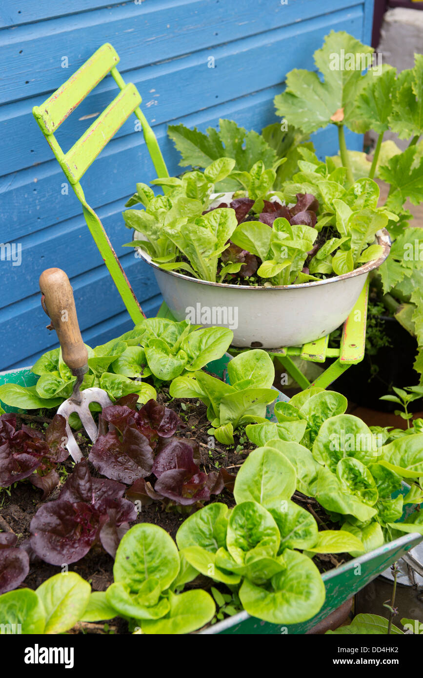 Kleine GartenEcke mit alten Schubkarre und alte emaillierte Schale