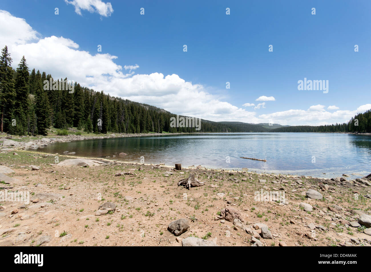 Eines der vielen Seen auf Grand Mesa in der Nähe von Grand Junction, Colorado. Stockfoto