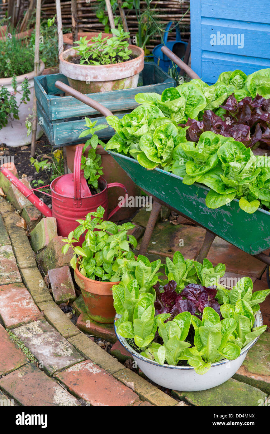 Kleine GartenEcke mit alten Schubkarre und alte emaillierte Schale