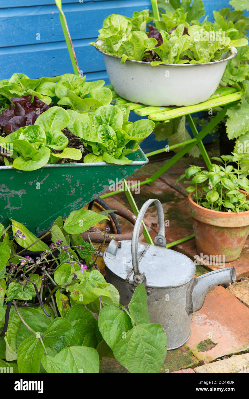 Kleine GartenEcke mit alten Schubkarre und alte emaillierte Schale