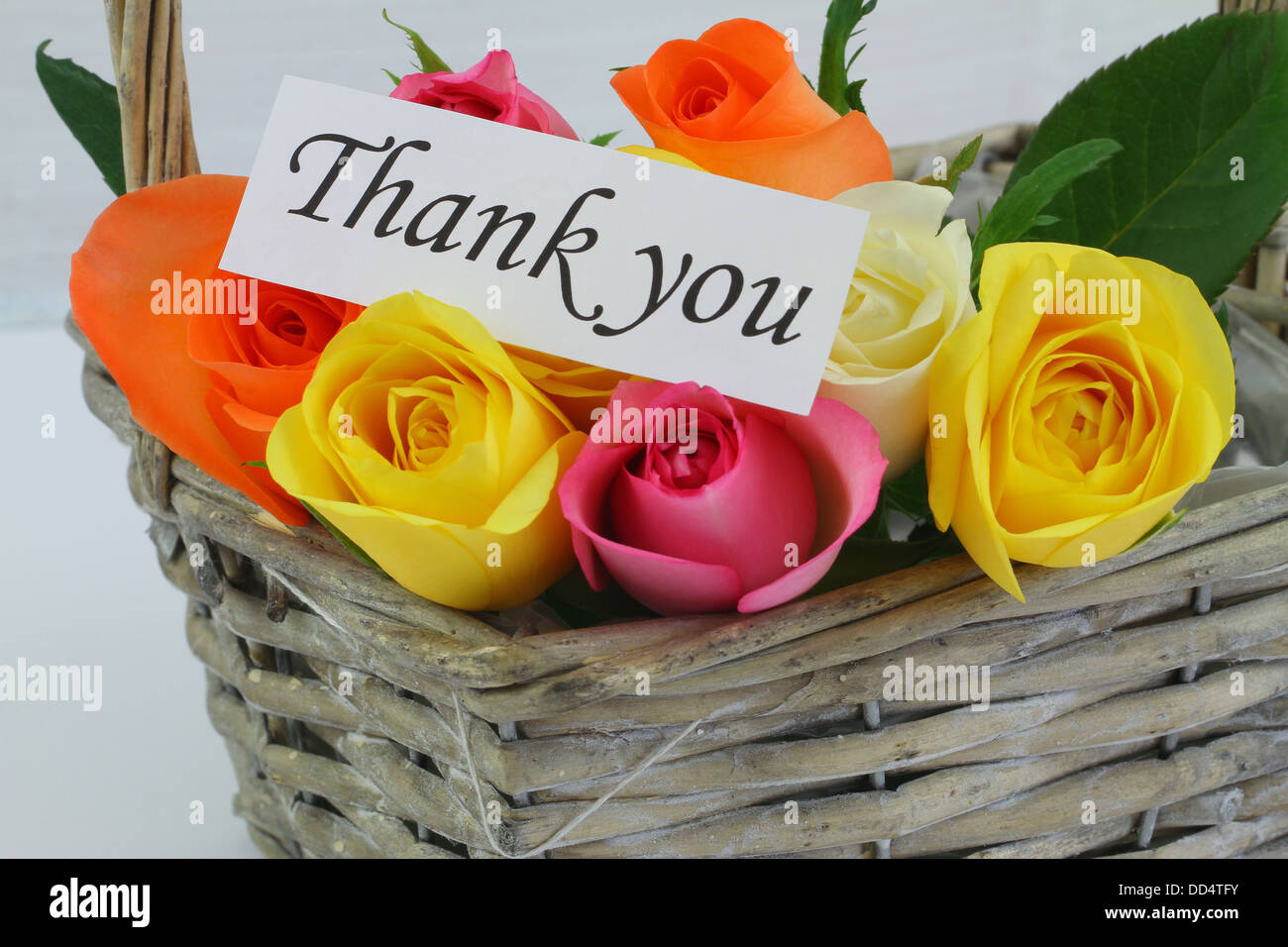 Dankesschreiben mit bunten Rosen im Korb Stockfoto