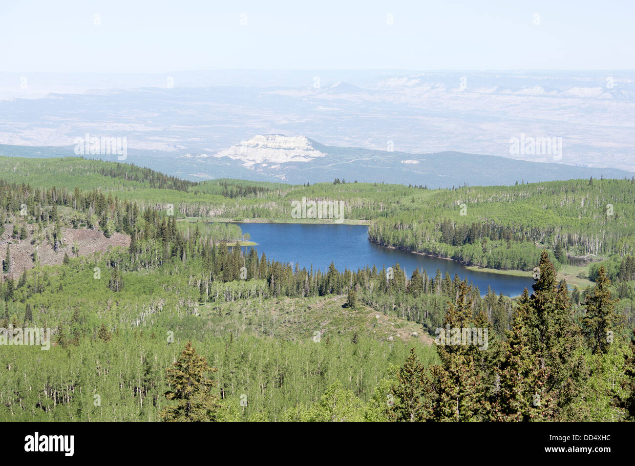 Eines der vielen Seen auf Grand Mesa in der Nähe von Grand Junction, Colorado. Stockfoto