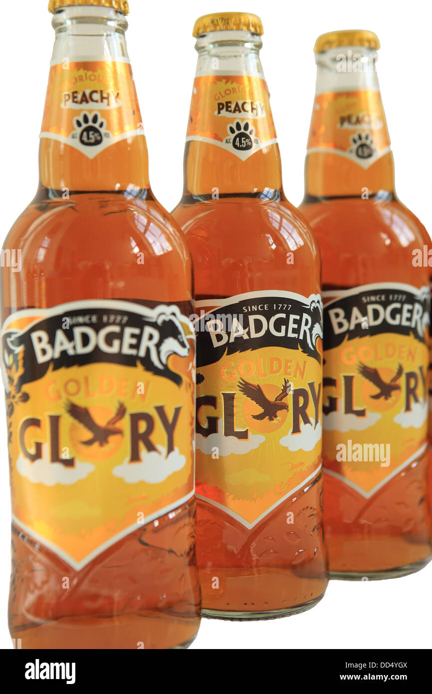 Badger Golden Glory Bierflaschen auf einem weißen Hintergrund ausschneiden Stockfoto