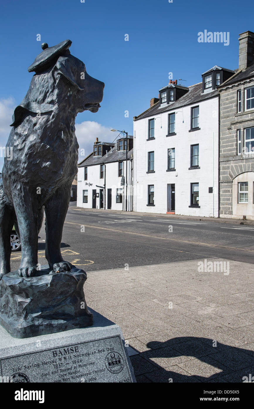 Seebär Bamse-Denkmal in Montrose Stockfoto