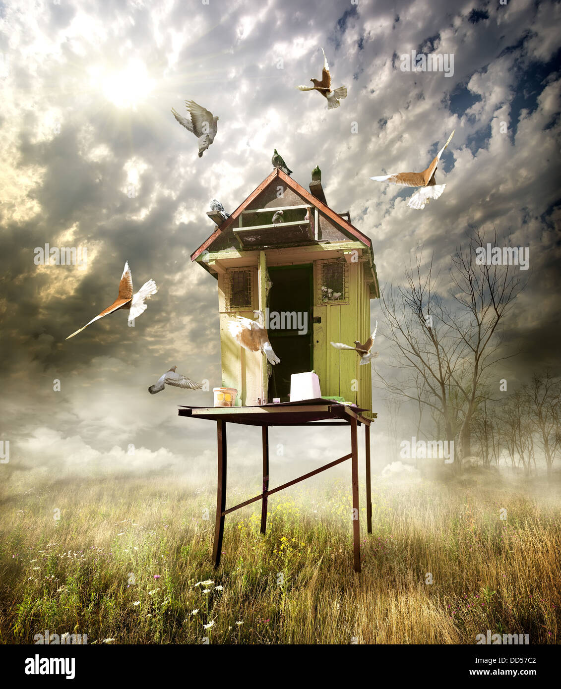 Hölzerne Taubenschlag im bewölkten Tag im Feld Stockfoto