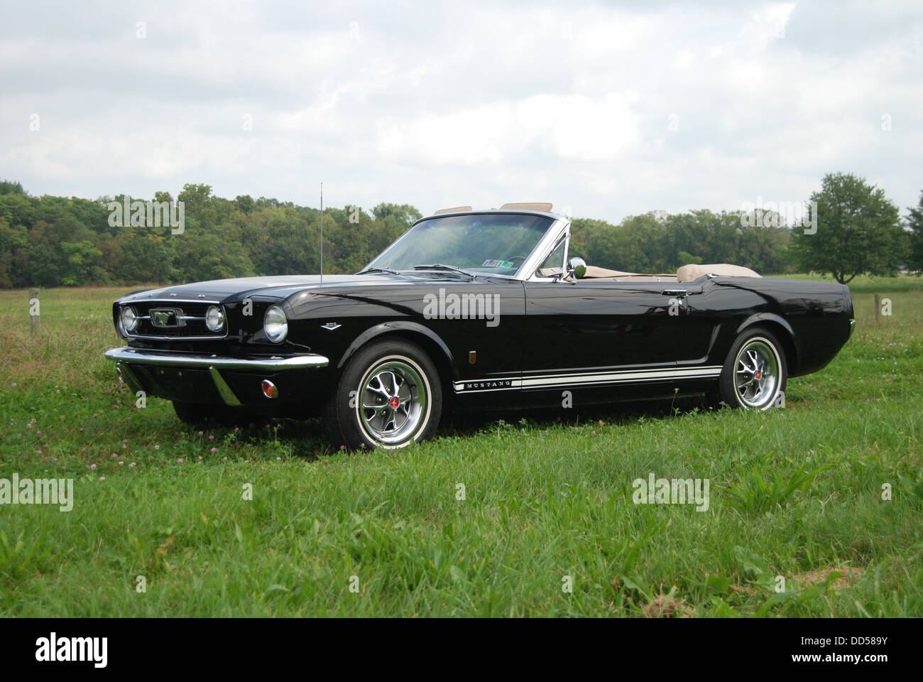 1966 Ford Mustang GT Stockfoto