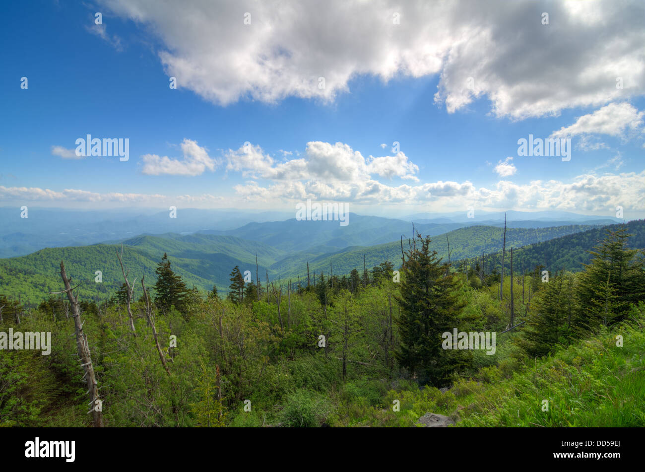 Die Aussicht vom Gipfel Clingmans Kuppel in den Great Smoky Mountains National Park Stockfoto