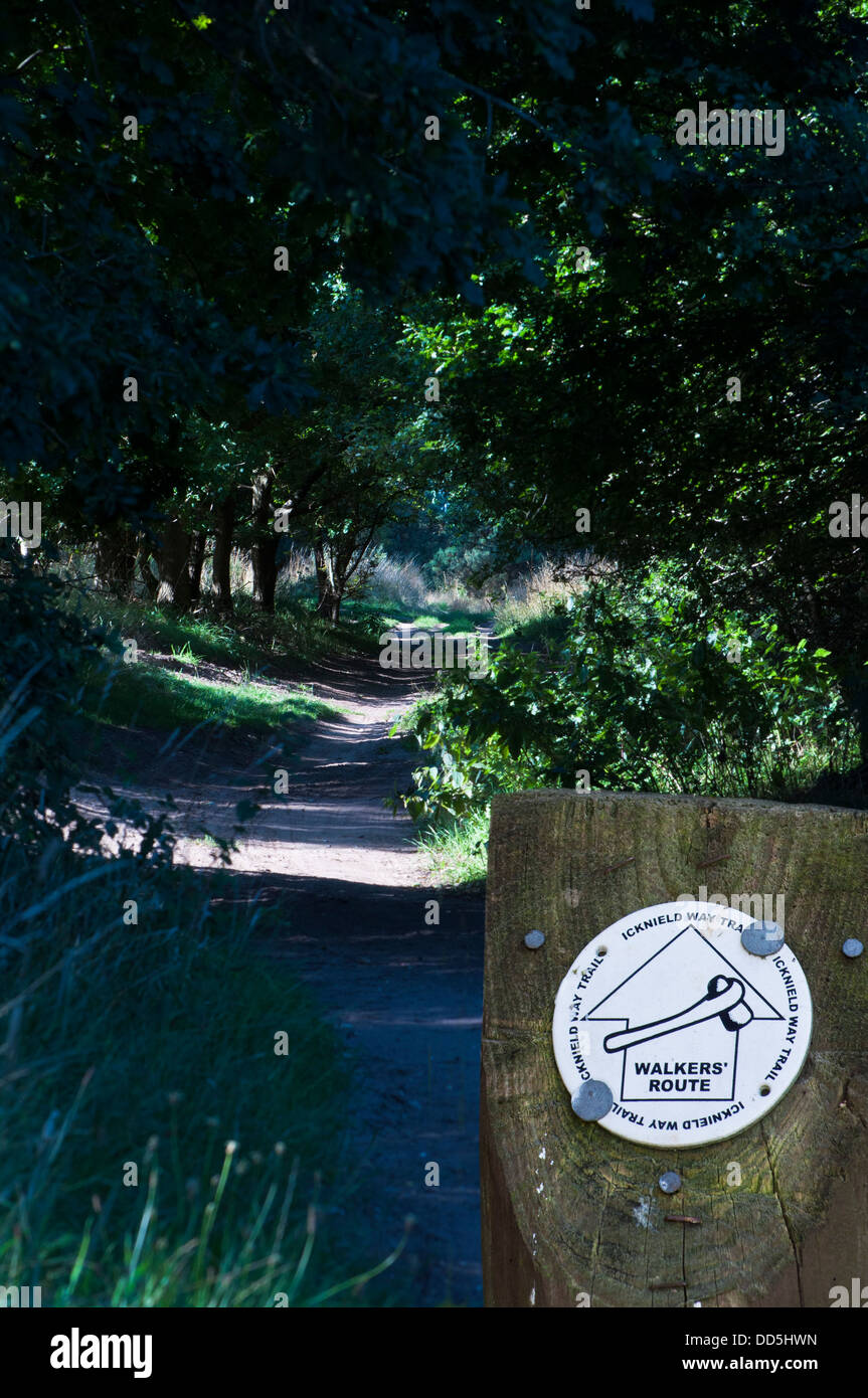 Icknield Way Weg Zeichen post Königin Marys Avenue Kings Forest Thetford Forest Stockfoto