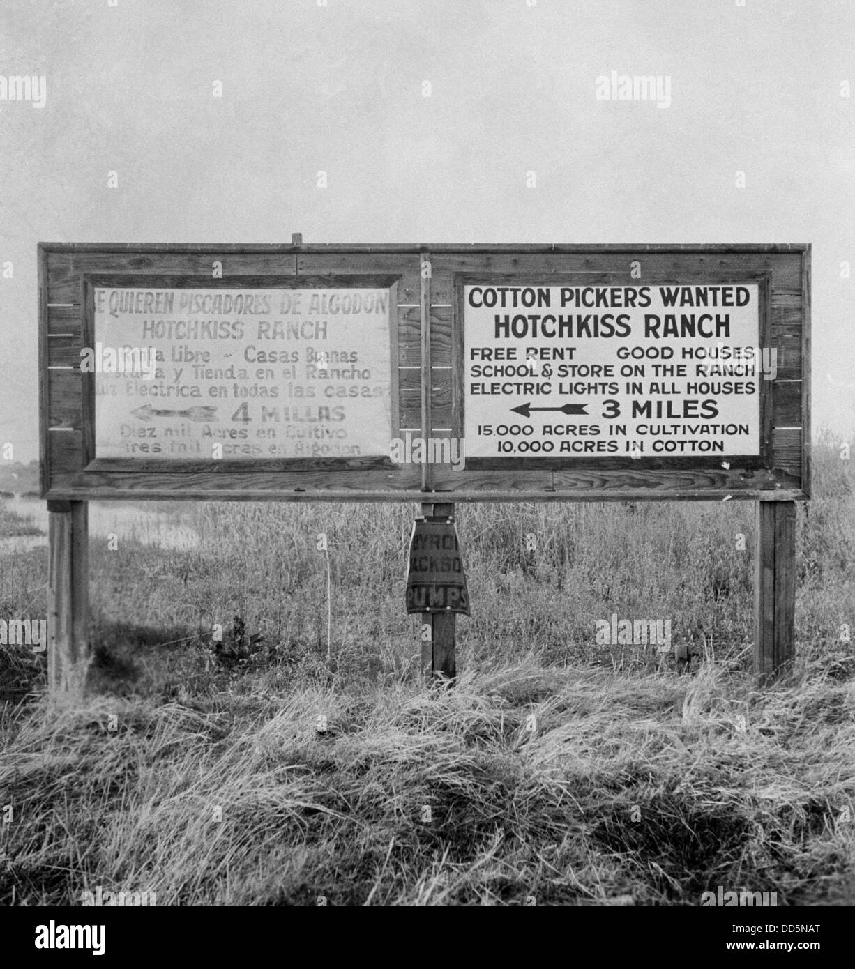 Anzeichen für Wanderarbeiter in Spanisch und Englisch, Fresno, 1933. Spanisch und Englisch Leser richten sich an die Lager zu trennen. Stockfoto