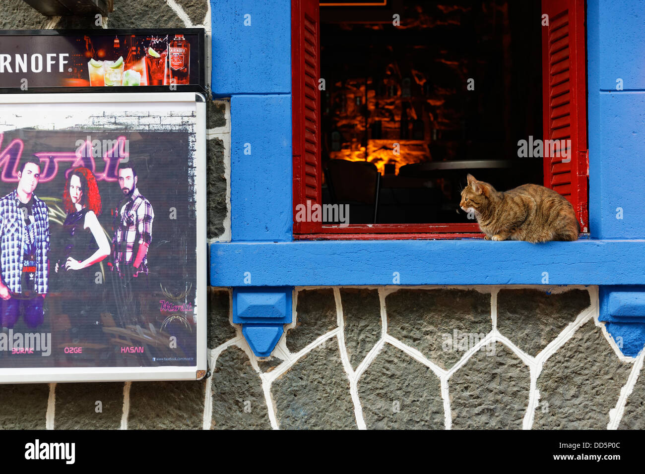 Türkei, Izmir, Katze sitzt am Fenster der Bar Stockfoto