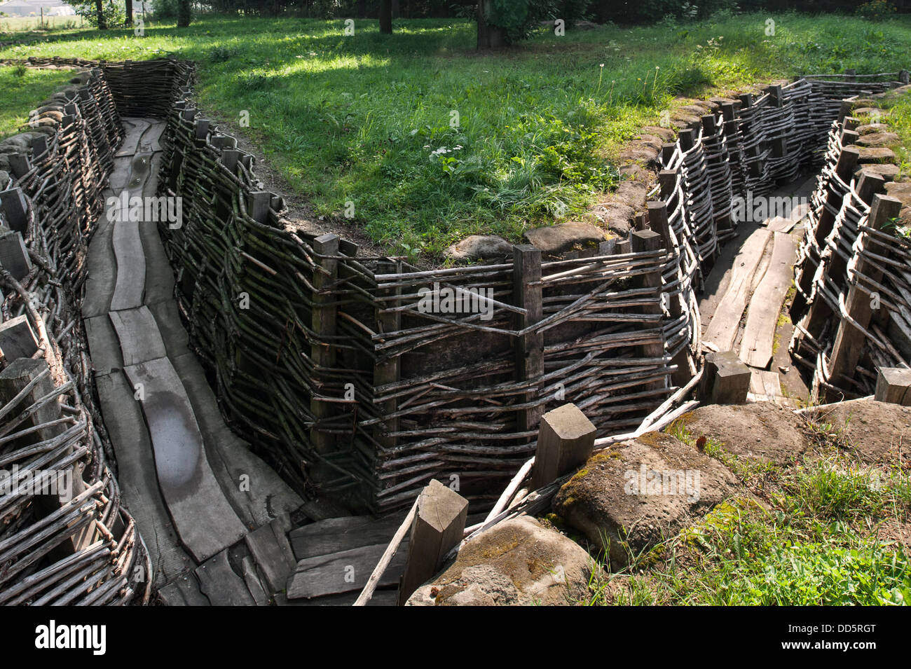 WW1 Bayernwald / Croonaert Wood, Rekonstruktion des ersten deutschen ersten Weltkrieg Graben bei Wijtschate, West-Flandern, Belgien Stockfoto