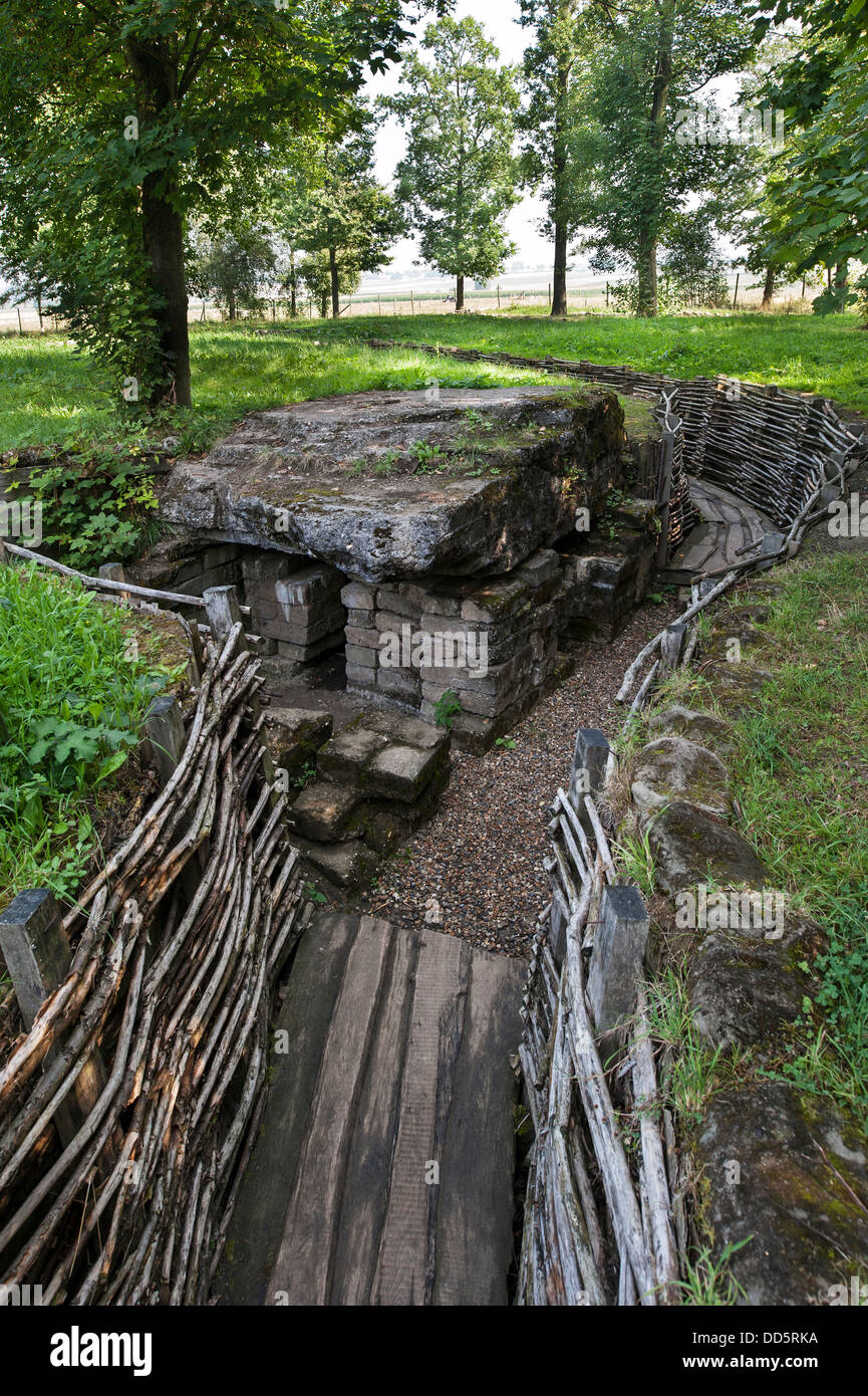 Bunker am Bayernwald / Croonaert Wood, Rekonstruktion des ersten deutschen ersten Weltkrieg Graben bei Wijtschate, West-Flandern, Belgien Stockfoto