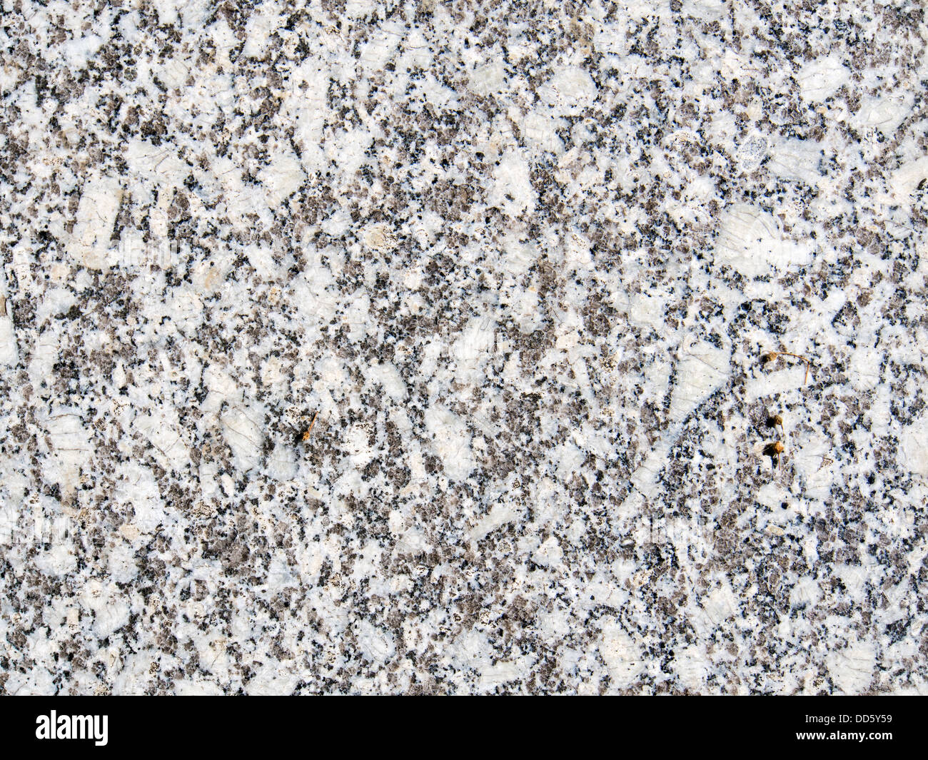 Bild von einer abstrakten schwarz weißem Marmor für Hintergrundtextur Stockfoto