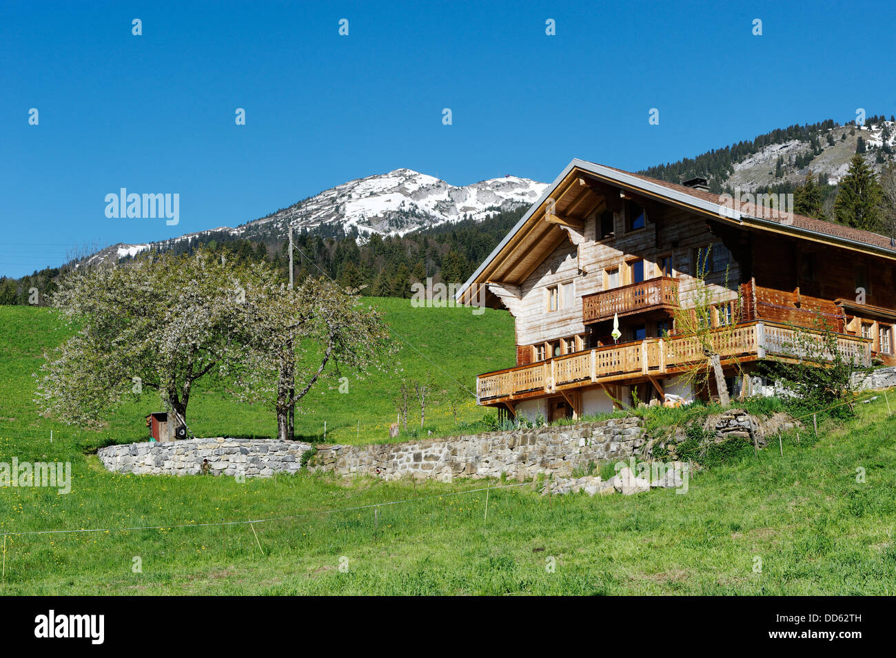 Schweiz, Blick auf Bauernhaus am Ormont Dessous Stockfoto