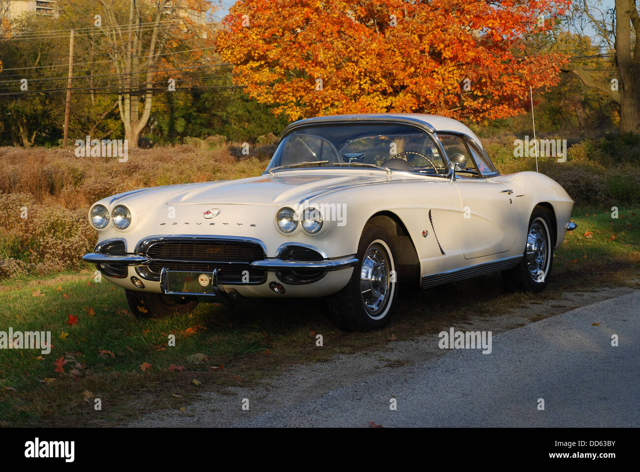 1961-Corvette-weiß Stockfoto