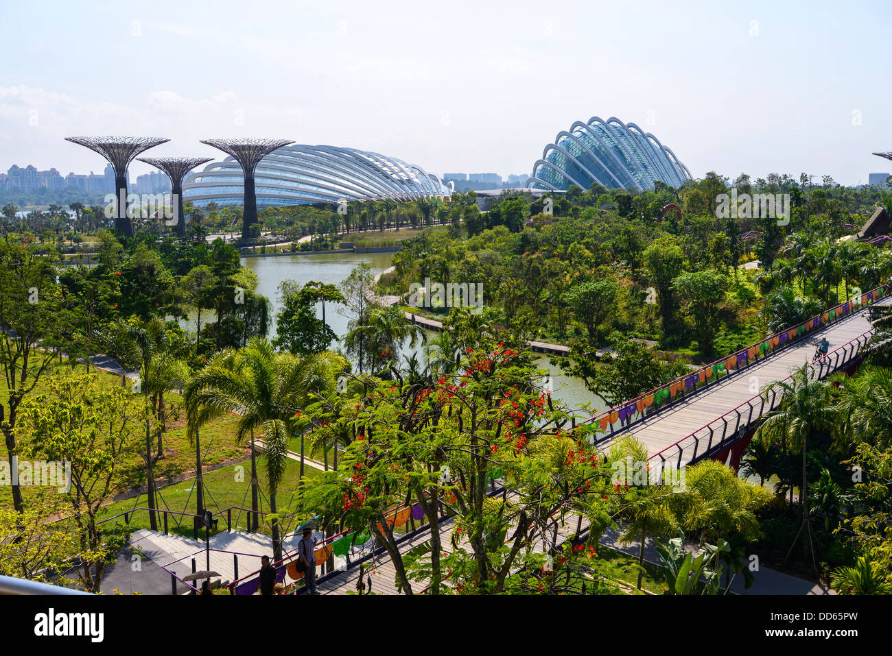 Asia Singapur Gardens by the Bay Stockfoto