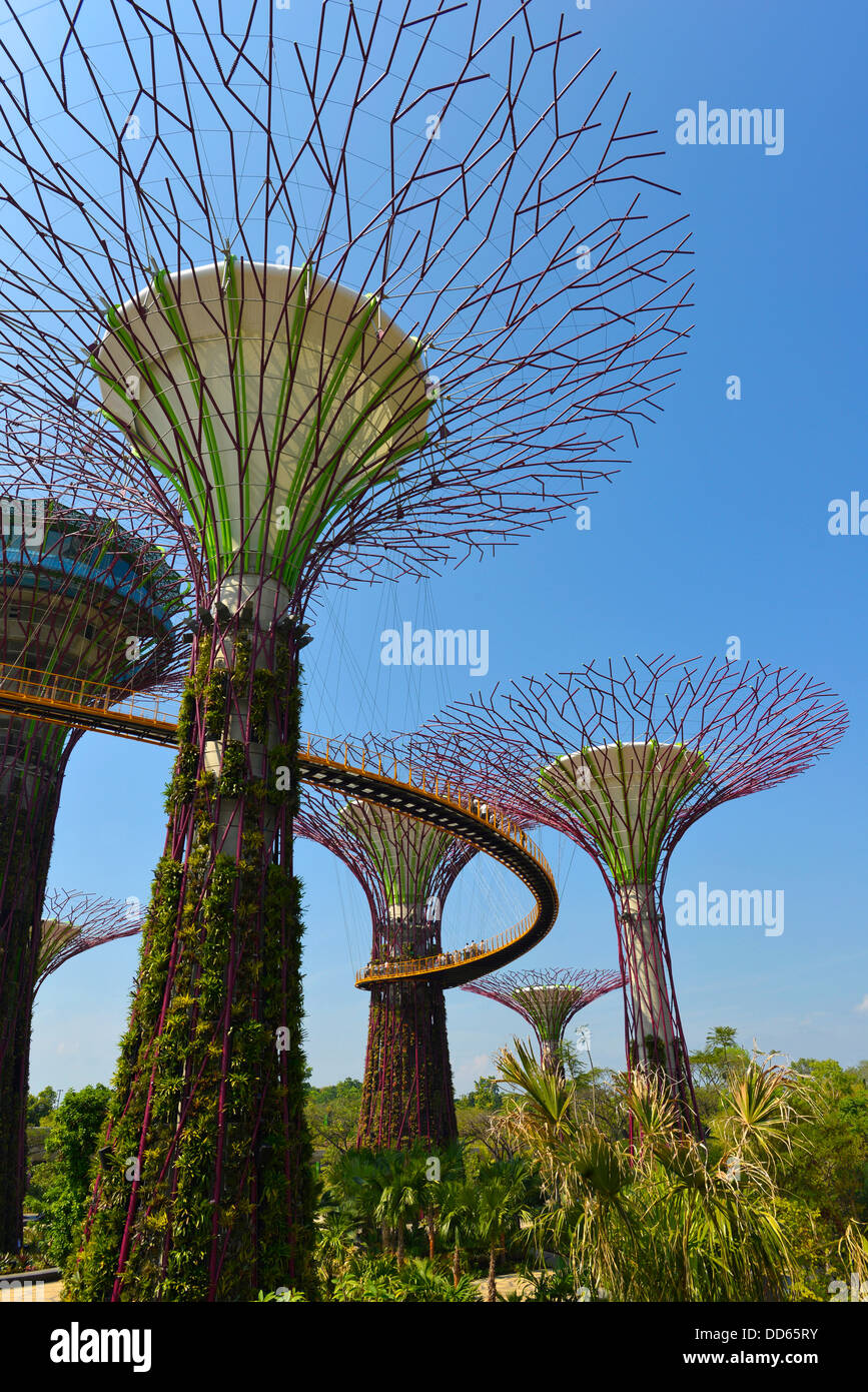 Asia Singapur Gardens by the Bay Stockfoto