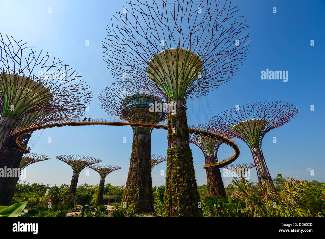 Asia Singapur Gardens by the Bay Stockfoto