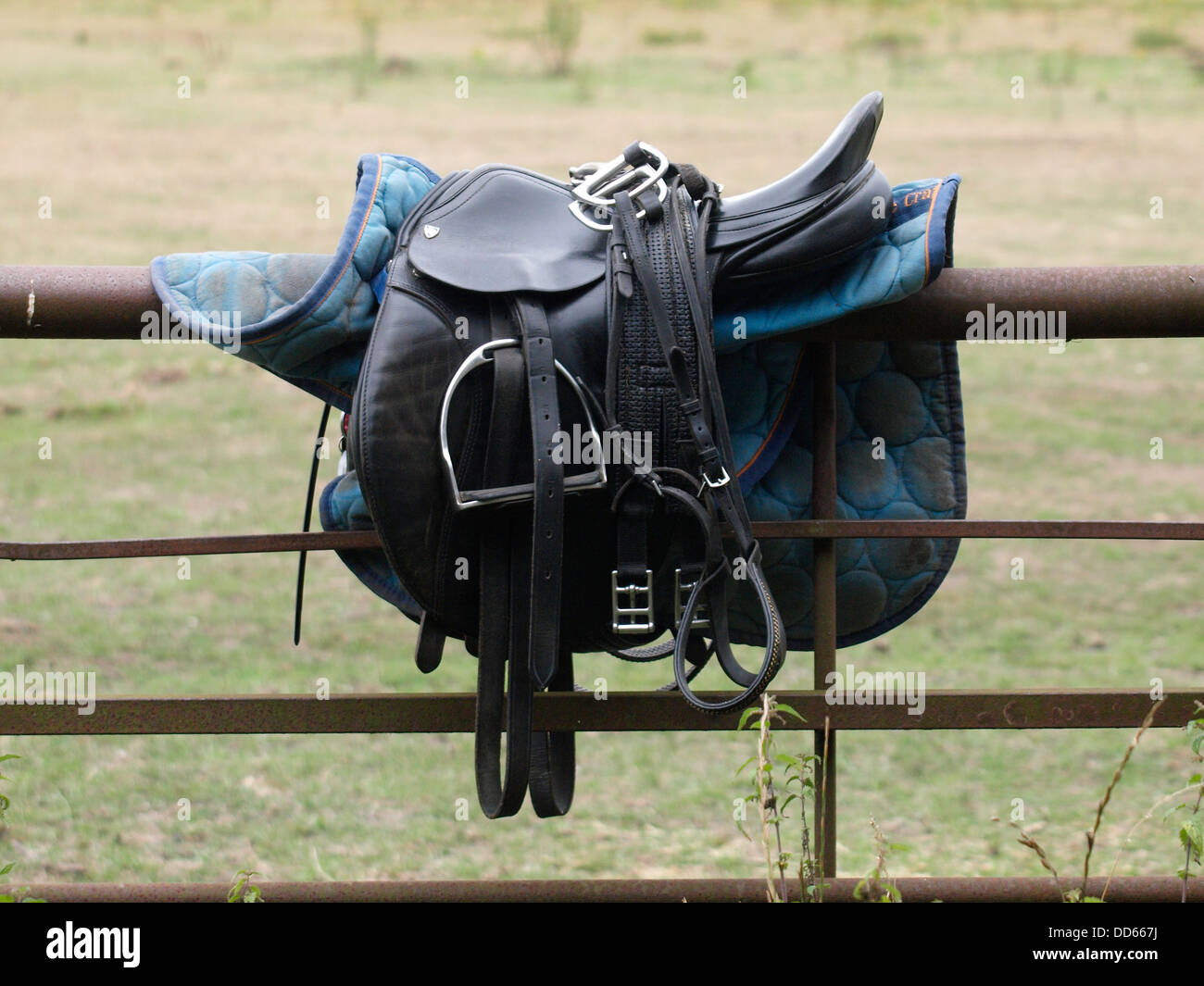 Reiten, Sattel, UK 2013 Stockfoto