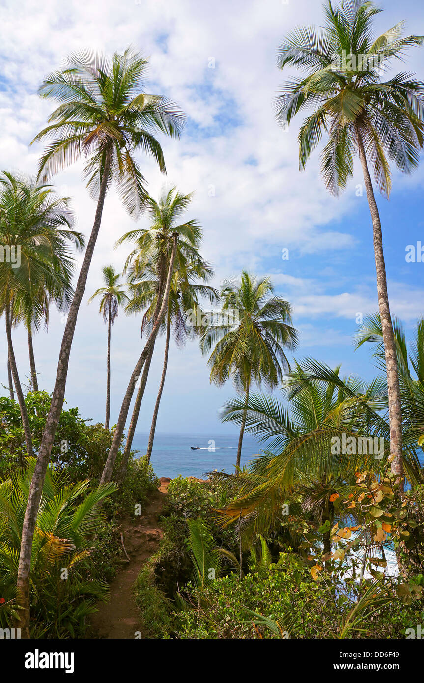 Küsten-Wanderweg unter Kokospalmen mit karibischen Meer im Hintergrund, Manzanillo, Costa Rica Stockfoto