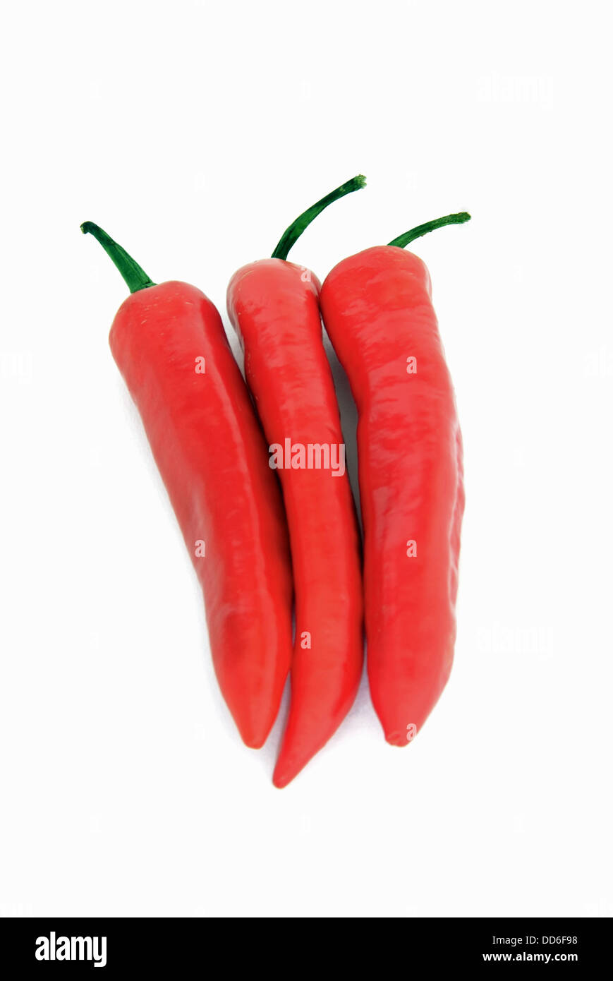 Rote Chilischoten auf weißem Hintergrund Stockfoto