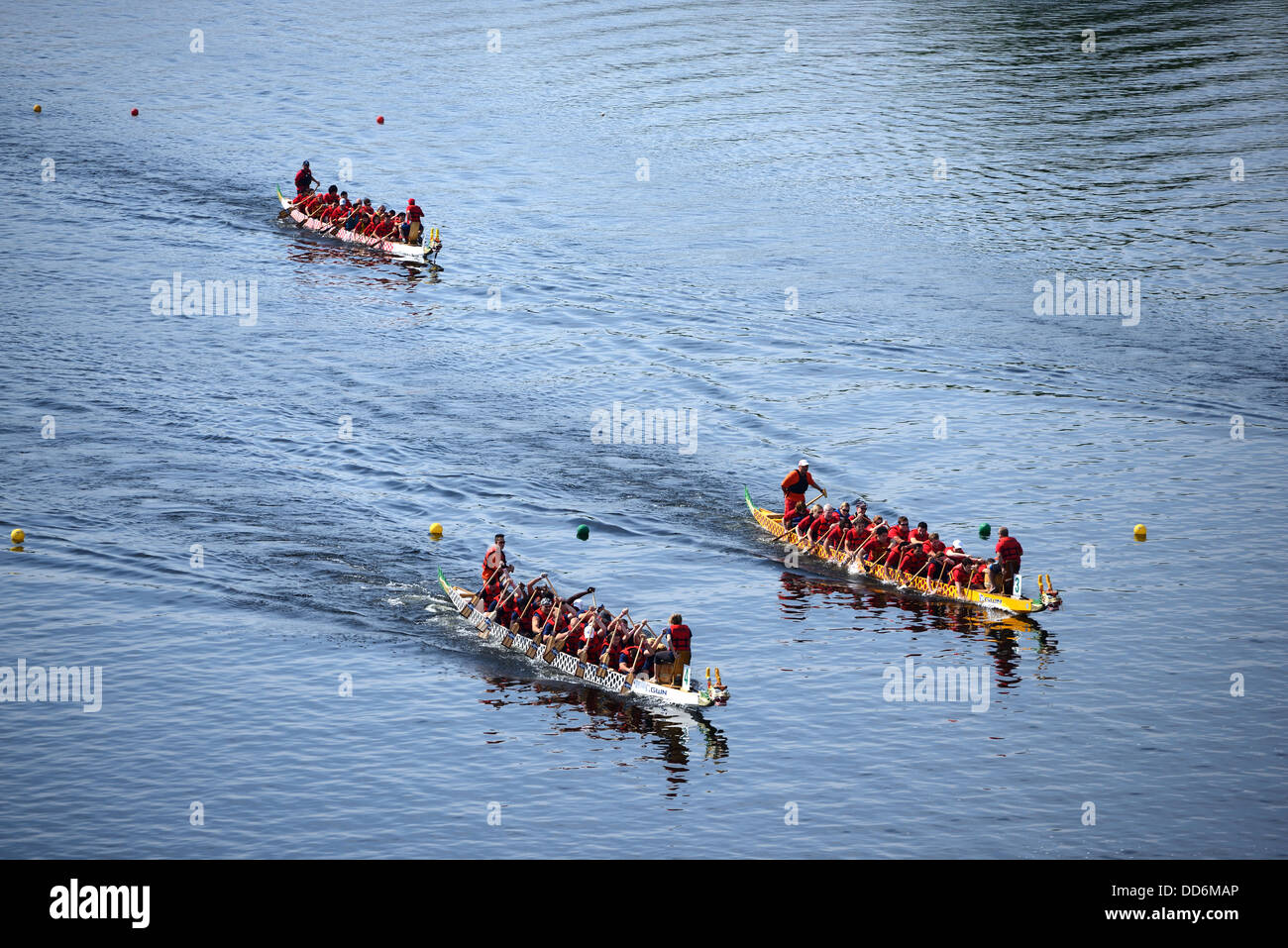 Dragon Boat Racers am Connecticut River. Stockfoto