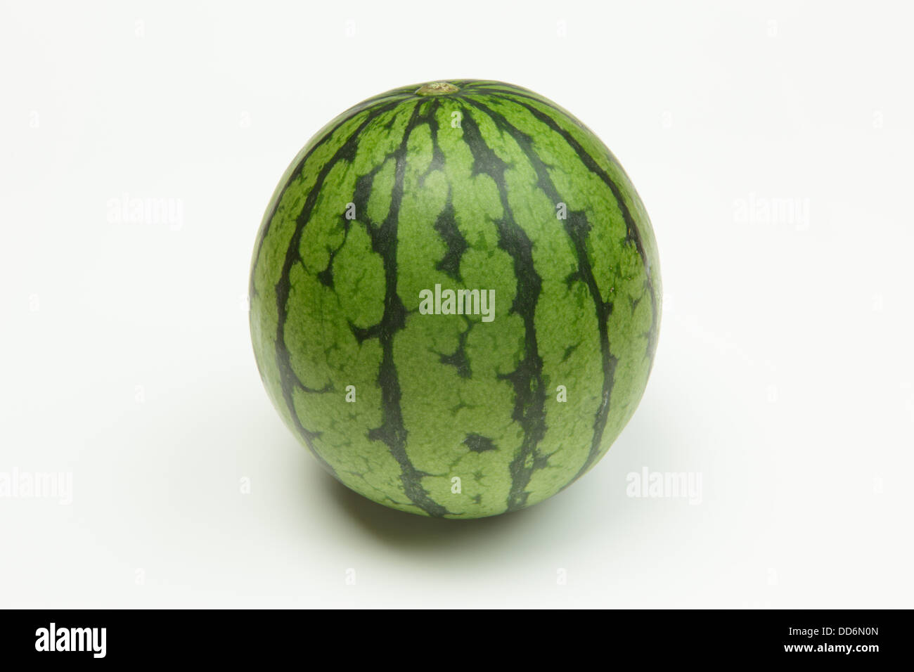 Wassermelone Stockfoto