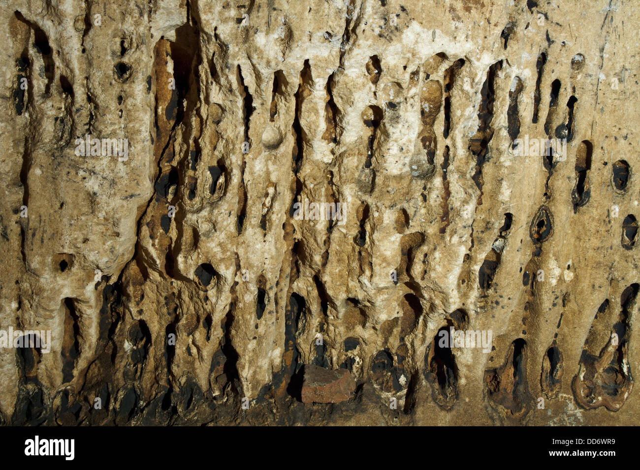 Wunderschöne Tropfsteinhöhle in Chiang Dao, Chiang Mai, Thailand. Stockfoto