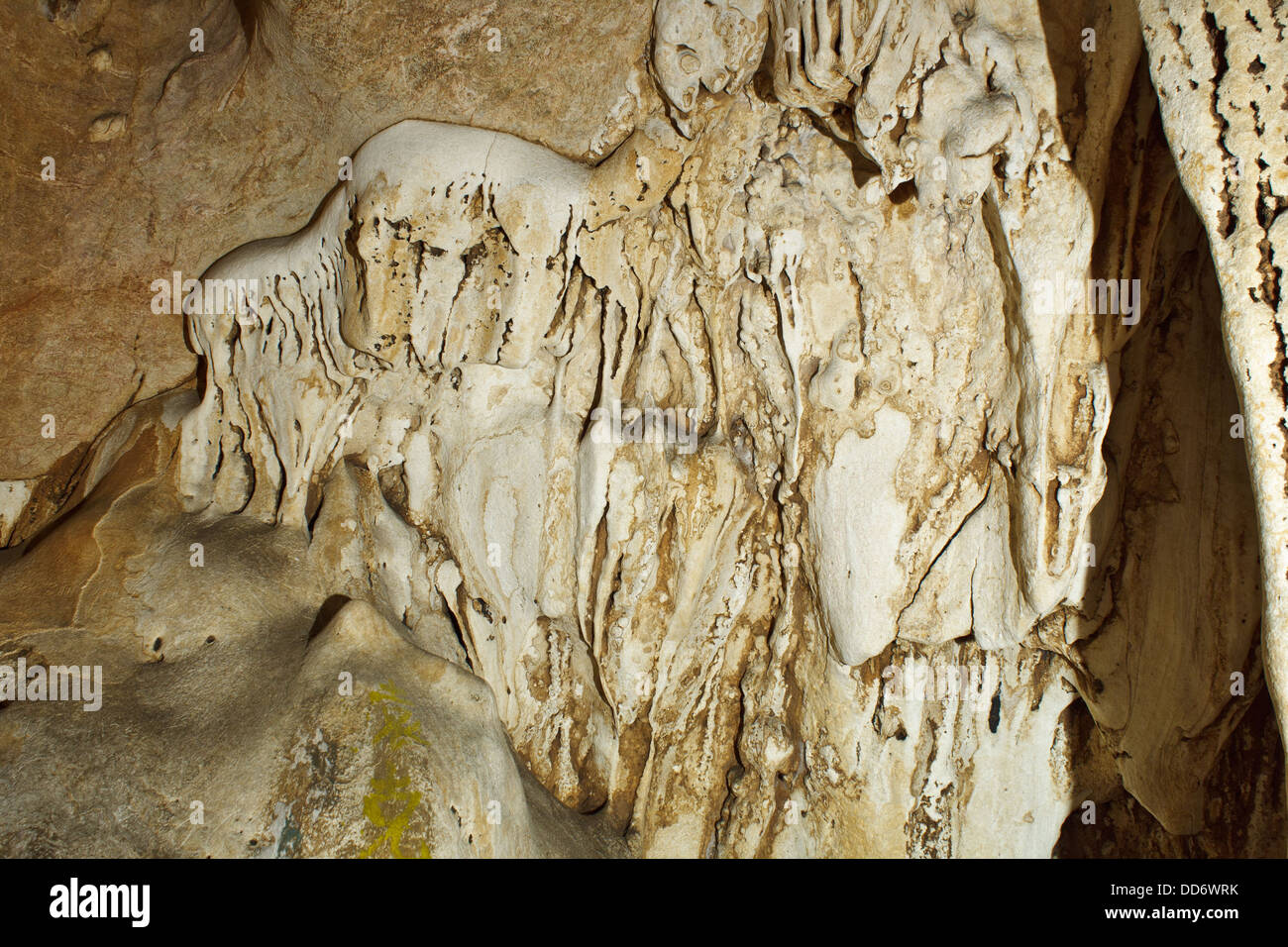 Wunderschöne Tropfsteinhöhle in Chiang Dao, Chiang Mai, Thailand. Stockfoto