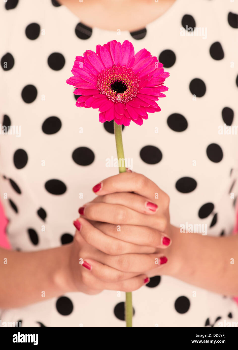 Gefalteten Händen Frau mit einer Gerbera daisy Stockfoto