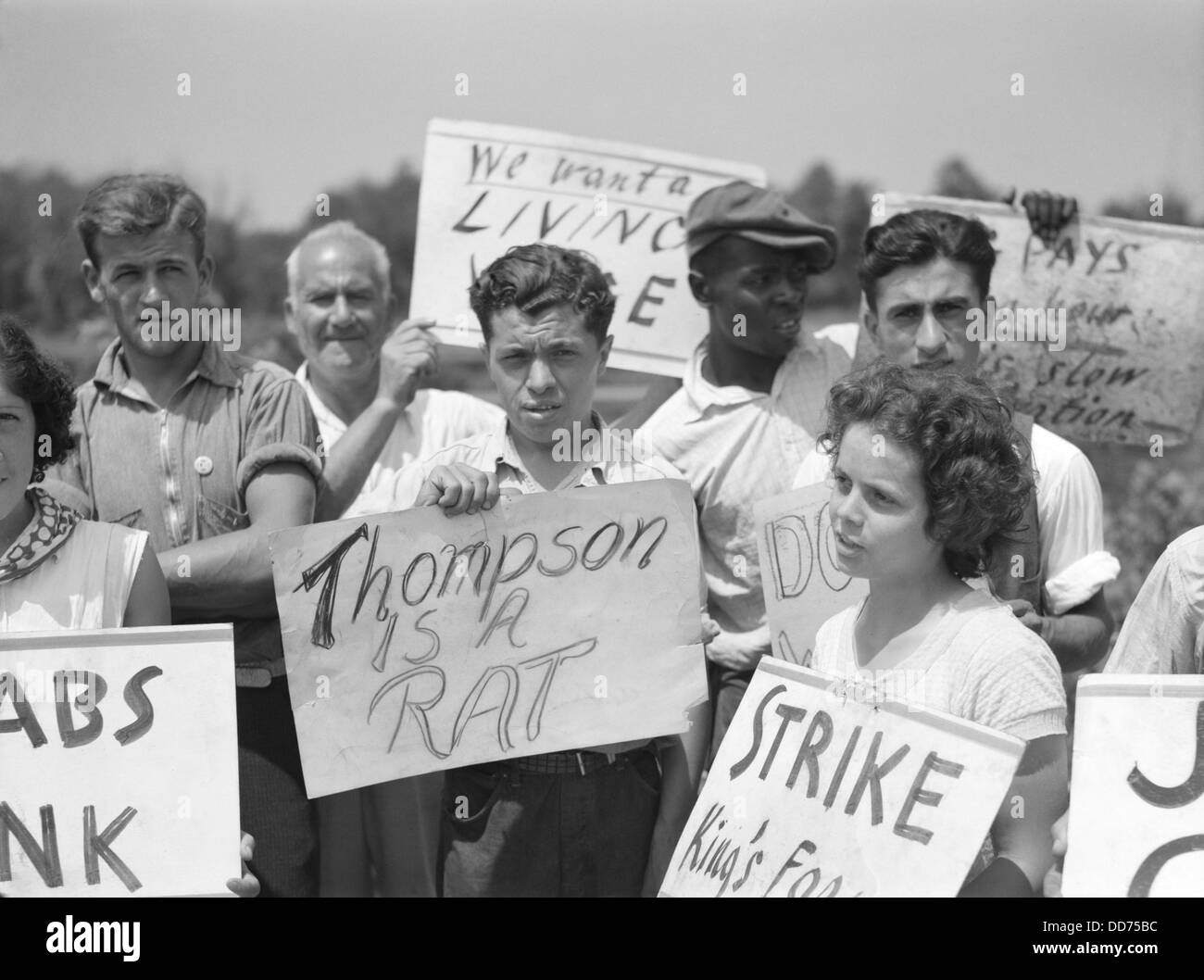 Markante Landarbeiter Streikposten der König-Farm in der Nähe von Morrisville, PA. August 1938. Die rassisch integrierten Gruppe von Männern und Frauen Stockfoto