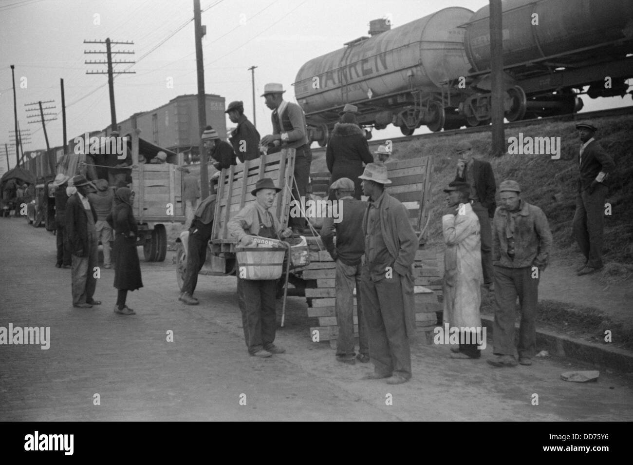 Engagierte afroamerikanische Tagelöhner in LKWs, Memphis, 1939. Baumwolle holen sie am nahe gelegenen Plantagen für einen Lohn von Stockfoto