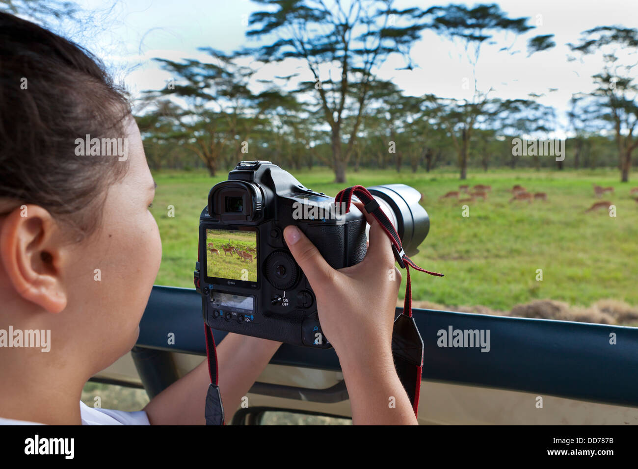 Afrika, Kenia, Teenage Mädchen unter Bild des Tieres in Lake Nakuru National Park Stockfoto