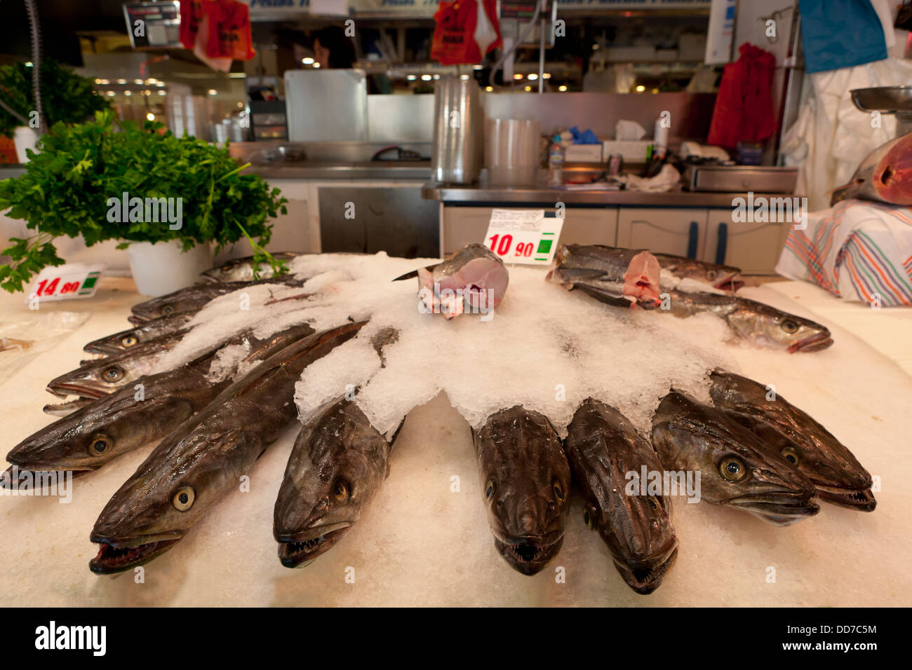 Spanien, Mallorca, Palma, Marktstand am Fischmarkt Stockfoto