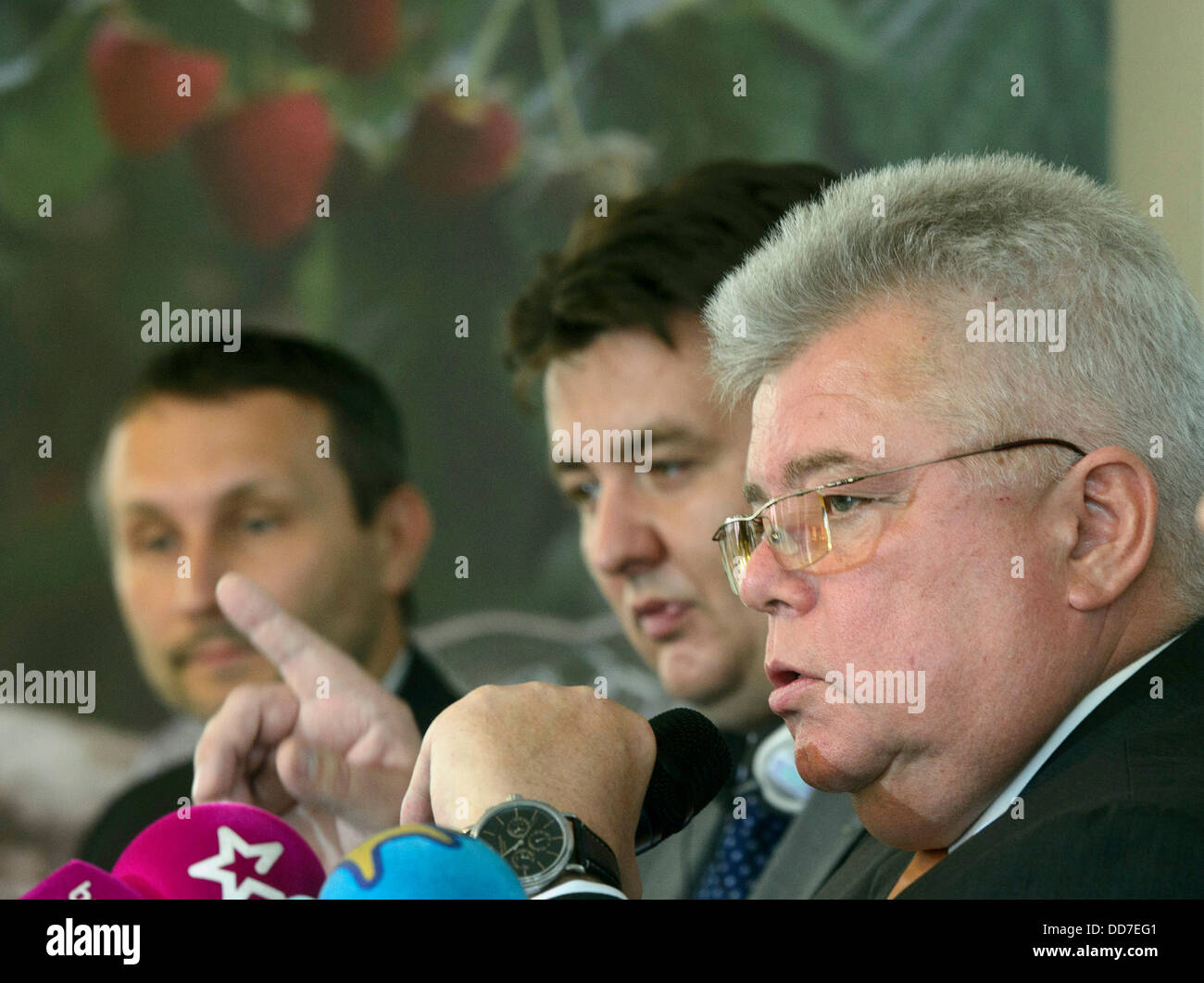 Von links: Janusz Zwiazek, Direktor des Tierarztes Inspektion der Republik Polen, Radek Marsik von der Firma FleishmanHillard und Piotr Kondraciuk von der Agentur den Agrarmarkt der polnischen Republik zu sprechen, während der Pressekonferenz über die Qualität der polnische Lebensmittel in Prag, Tschechien am 28. August 2013. (Foto/Michal Kamaryt CTK) Stockfoto