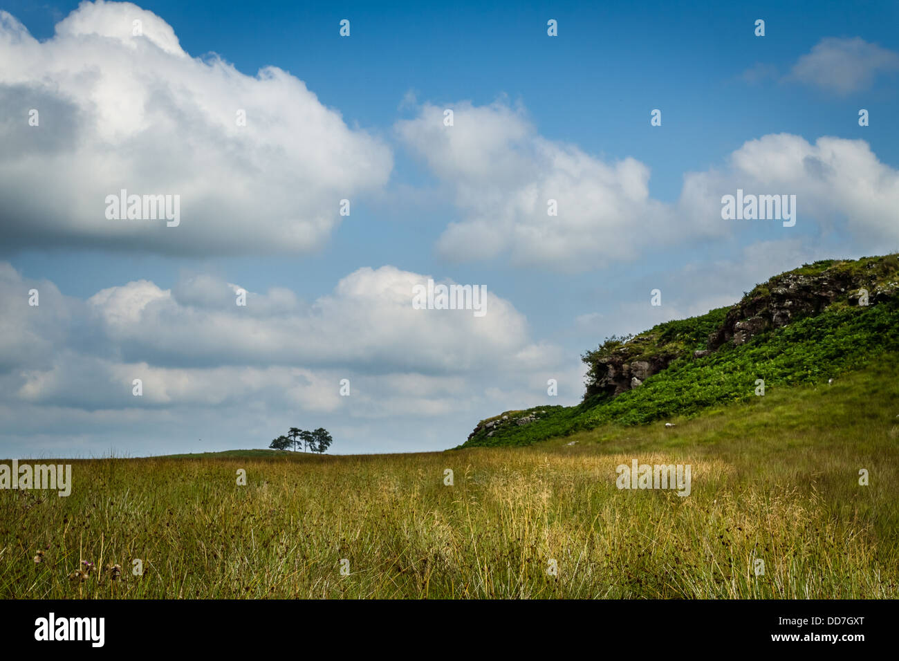 unter Krähe Felsen genießen eine Rundwanderung unter Einbeziehung der Hadrianswall Stockfoto