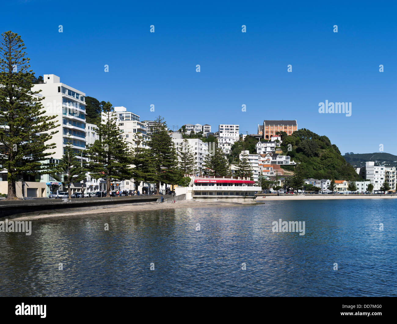 dh Oriental Bay WELLINGTON NEW ZEALAND Bay Waterfront Häuser Wohnungen Strand nz Stockfoto